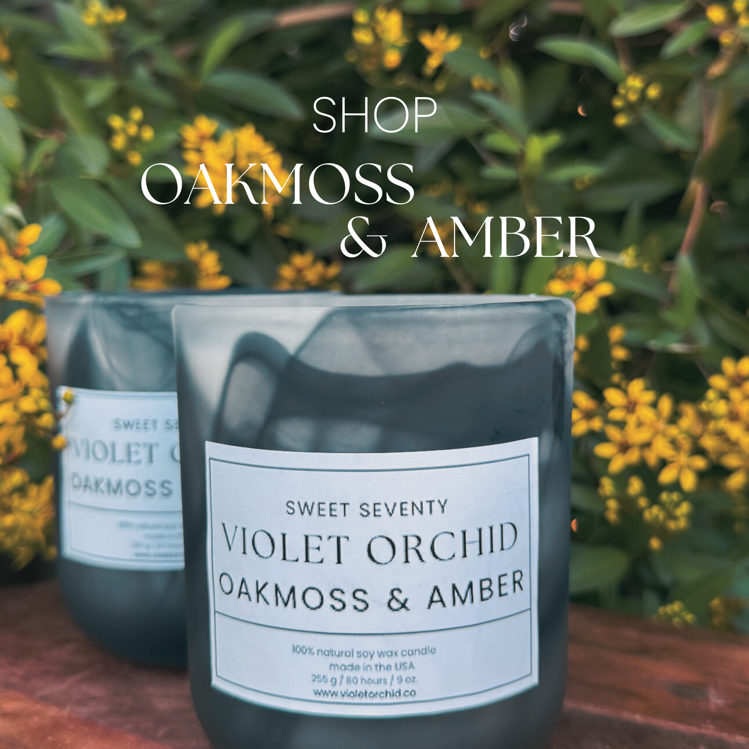 The Sweet Seventy Collection Oakmoss & Amber by Violet Orchid