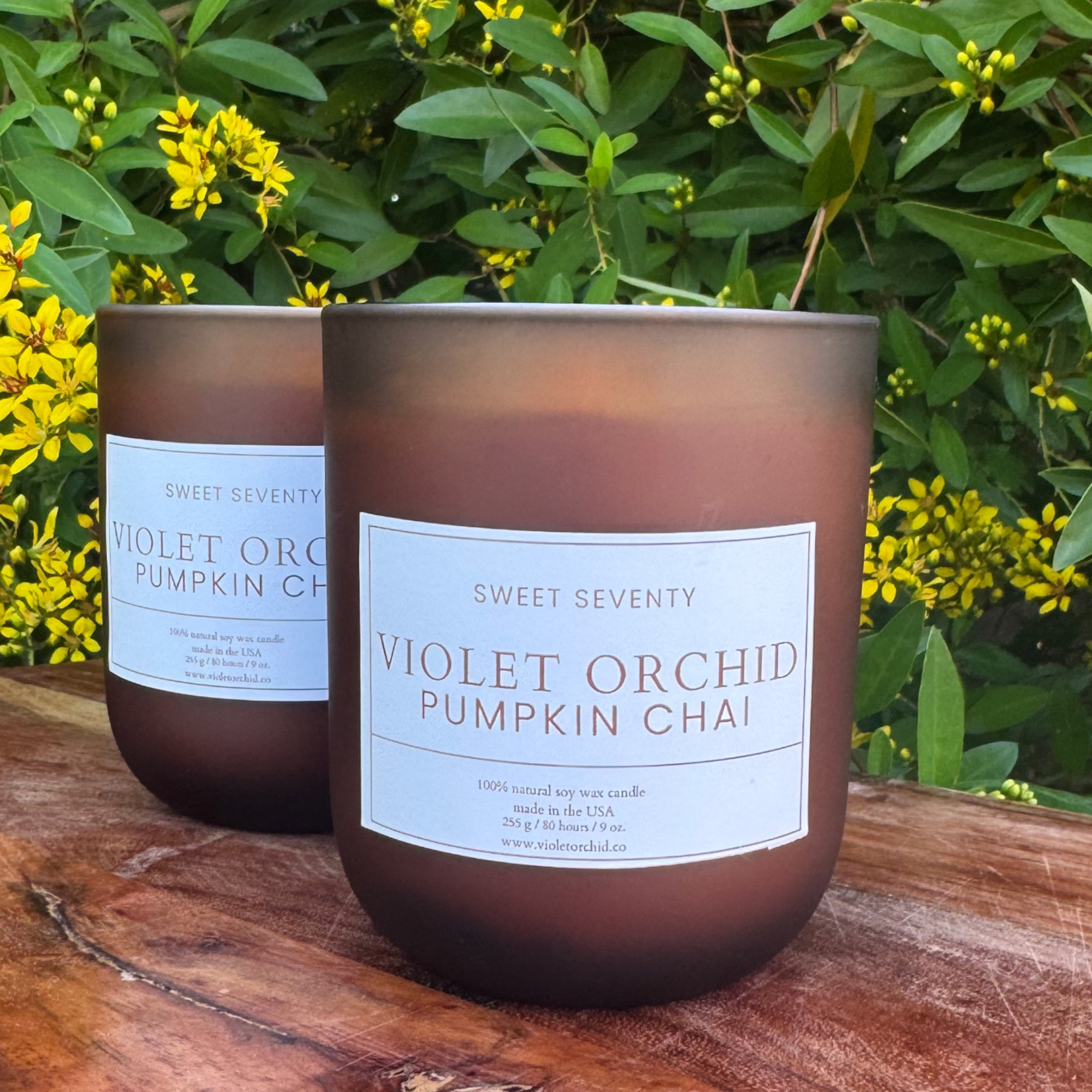 The Sweet Seventy Collection Pumpkin Chai by Violet Orchid