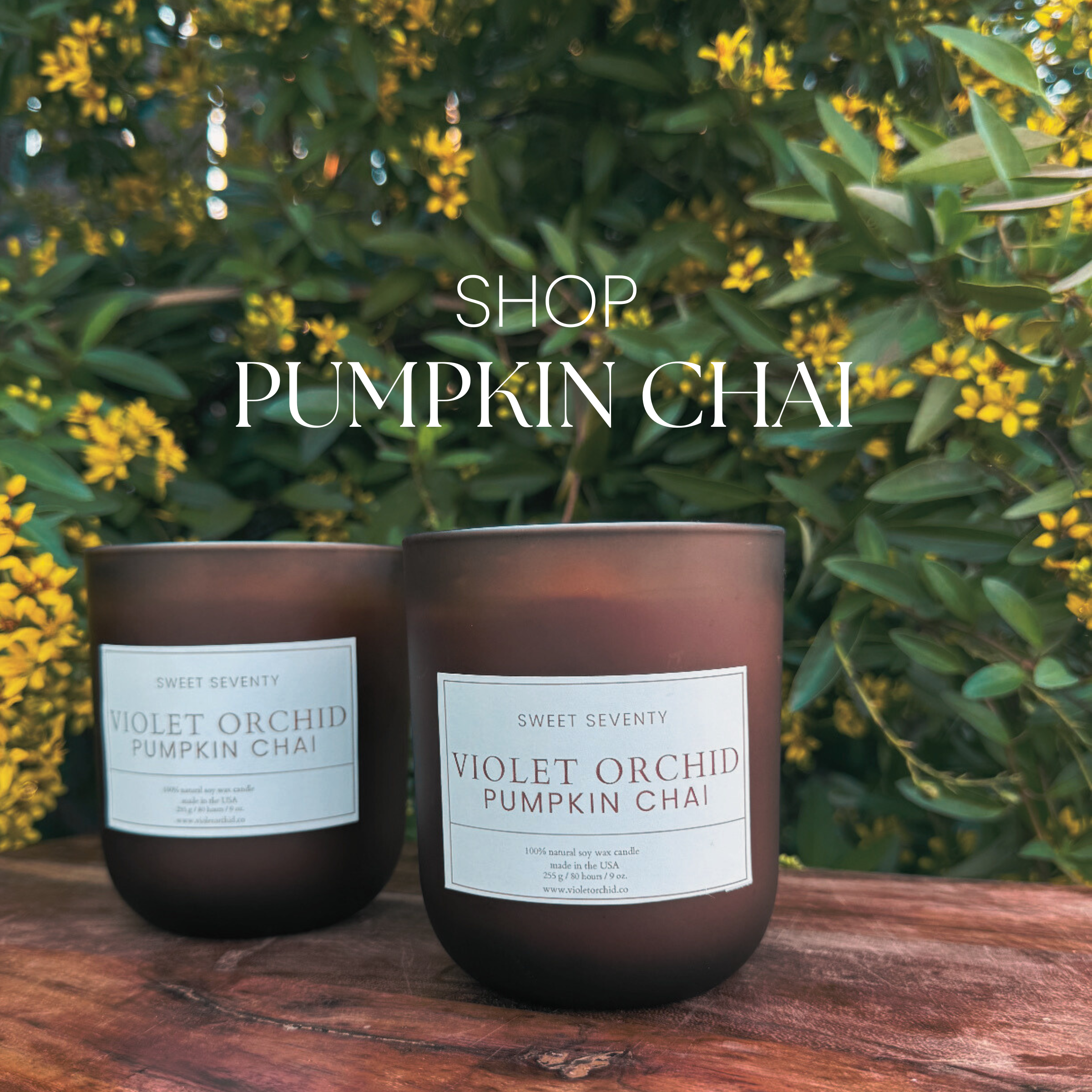 The Sweet Seventy Collection Pumpkin Chai by Violet Orchid
